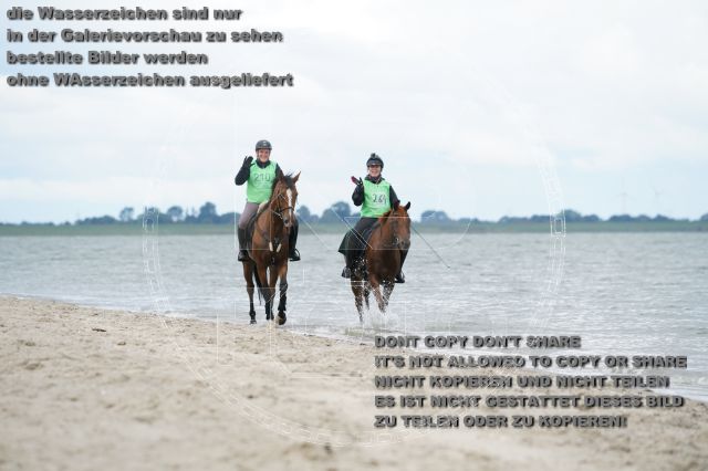 s_K3F04977.JPG